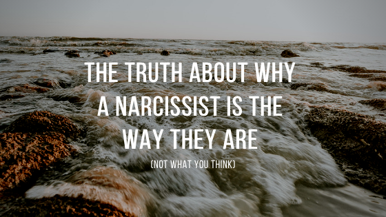 The-Truth-about-Why-A-Narcissist-is-the-way-they-are-not-what-you-think